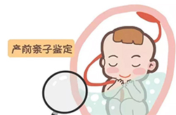 玉溪怀孕了需要如何做亲子鉴定，玉溪产前办理亲子鉴定需要的材料