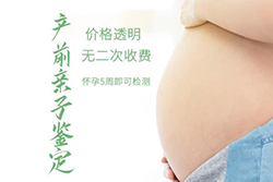 玉溪怀孕十二周能办理无创怀孕亲子鉴定吗（预约快速办理），玉溪办理无创孕期亲子鉴定要多少费用